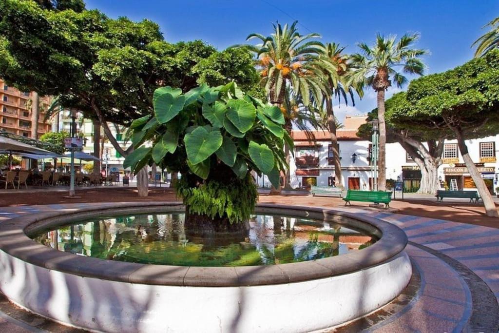 Centrico, Comodo Y Bello Apto En Puerto De La Cruz 外观 照片